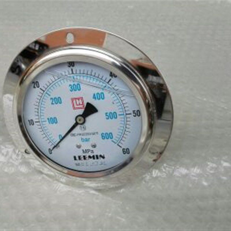 LEEMIN轴向带边耐震压力表 ytn-100lv 0~60mpa/0-600bar m20x1.5