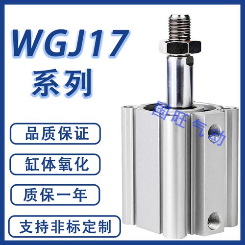气缸WGJ05/06/16/17-32/4 /50/63-10015 20 25 30 35 45 60-Y/N-2