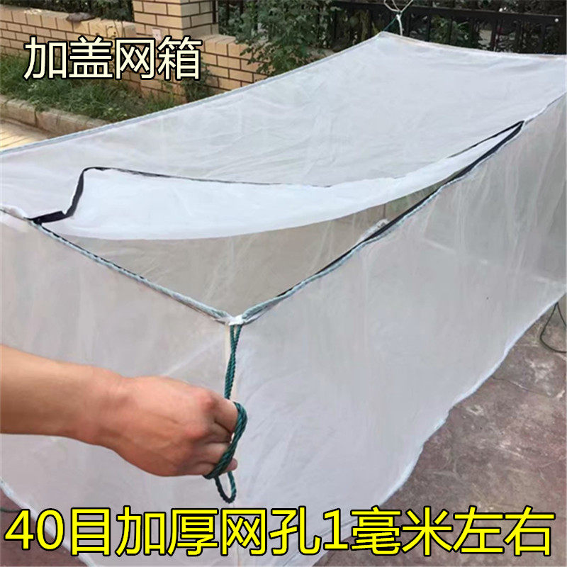 加厚40目网箱加盖泥鳅黄鳝水蛭鱼网/虾笼/其它渔具