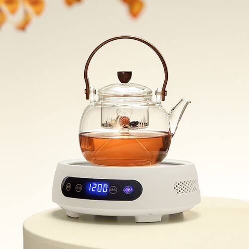 电陶炉煮煮器花茶家用多功能迷你小型电磁炉烧热水茶茶炉套装