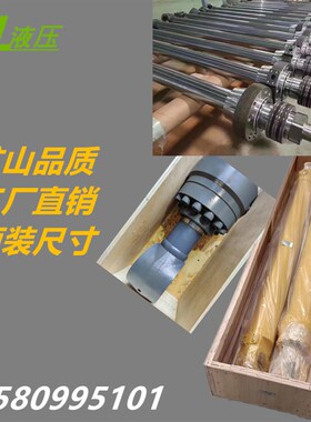 雷沃挖土机油缸大R小铲斗F中60/65/80E/85/活50/220/3701塞杆总成