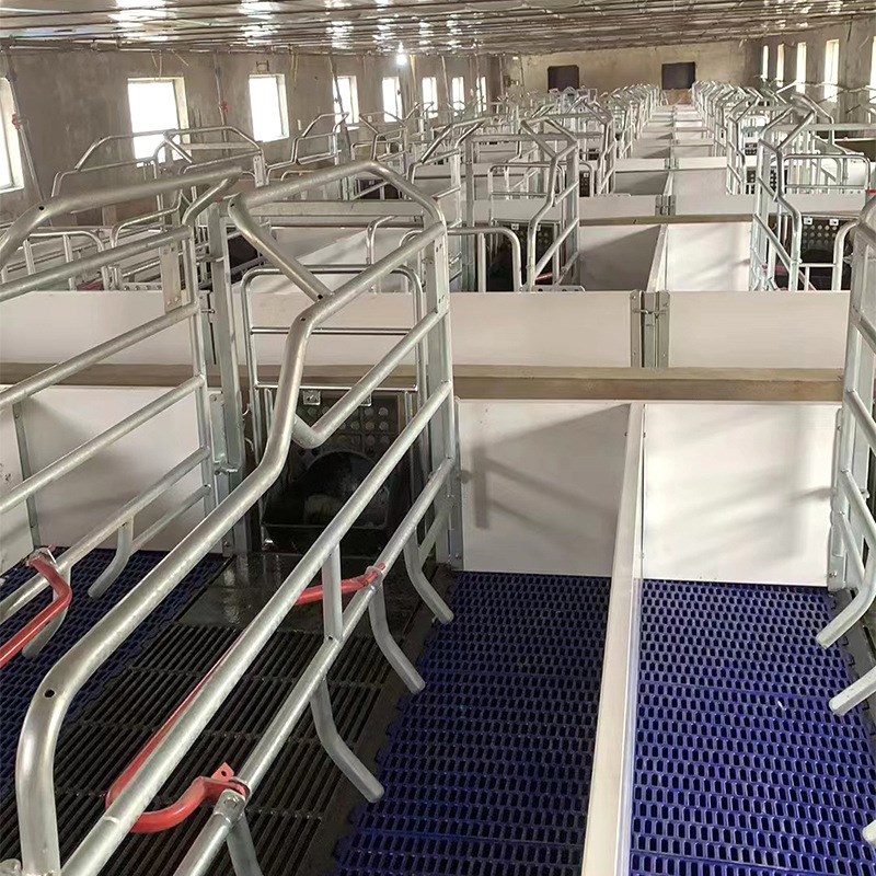 母猪产床 双体产保一体猪用分娩B床 保育床 定位栏 养猪繁殖器具