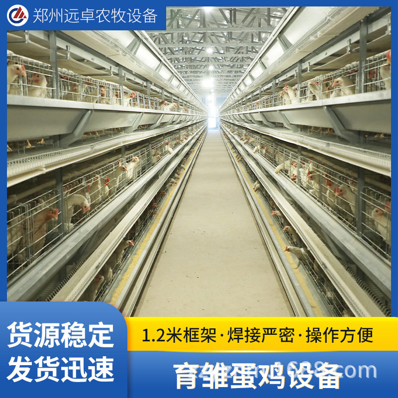 自动清粪行车喂料蛋鸭笼养 新型五层叠H型框架式蛋鸡育雏鸡笼厂家图片