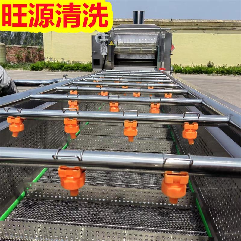 高压气泡清洗机器 菠菜清洗设备 胡萝卜西红柿辣椒清洗机器
