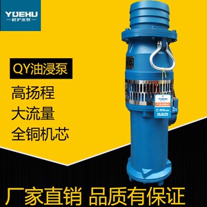 上海油浸泵充油式水泵高扬程大流量农田灌溉水P泵QY潜水泵5.5