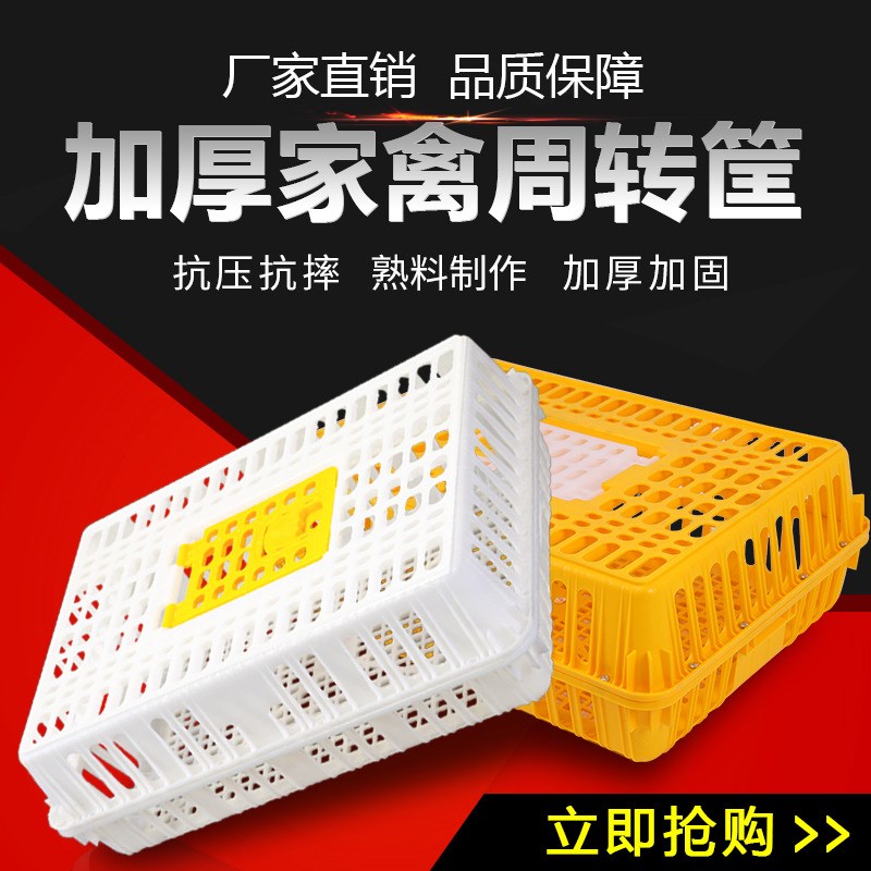 鸡笼周转箱成鸡鸭鹅运o输笼加厚塑料长方形鸡笼子特大号家禽鸡用