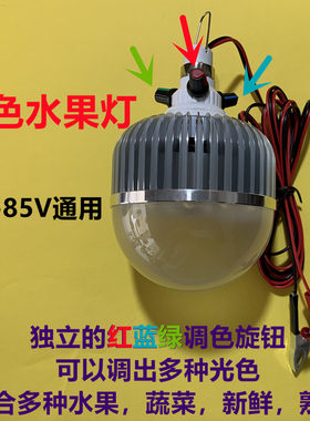 12V调色水果灯可变色加红光猪肉生鲜灯电瓶车熟食蔬菜摊位3旋钮灯