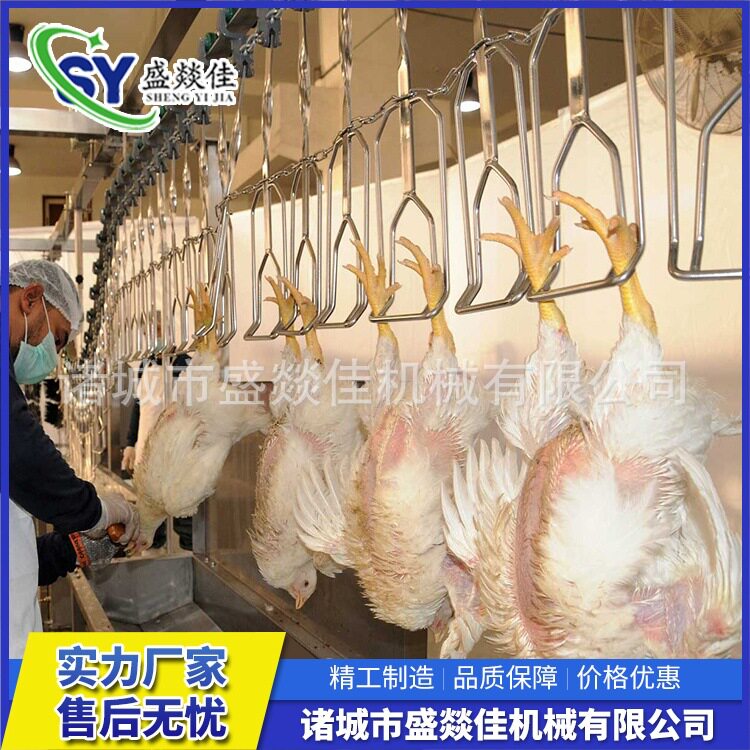 家禽脱毛宰杀流水线成套设备