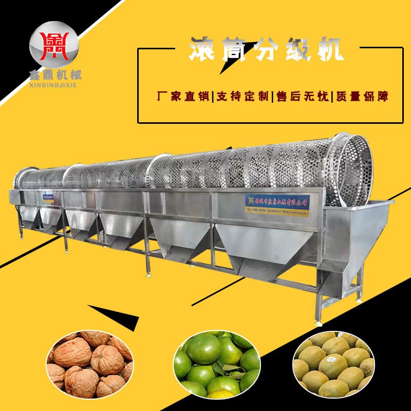 水果大小分级机 云南r核桃分选设备 不锈钢材质沾化冬枣分级机