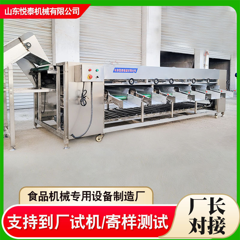 马蹄土豆分级筛选机 不锈钢滚杠酸木瓜红薯分选机 杏子筛选机