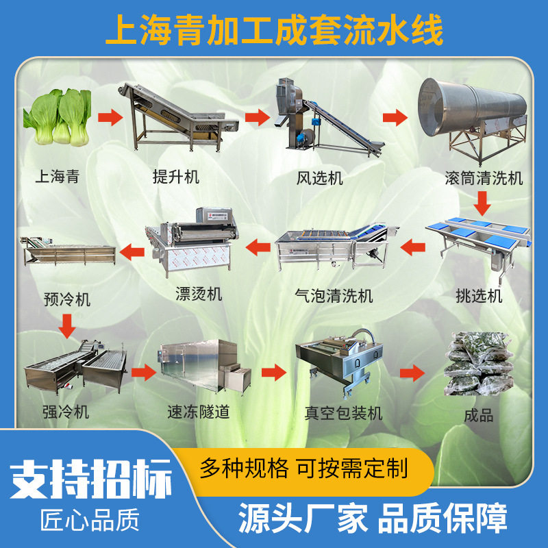 大型速冻西兰花杀青护色漂烫流水线 东北蘑菇蒸煮漂烫机