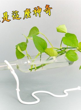 悬浮创意盆客造景景厅电视柜桌面上办客室家居饰品装饰瓶摆件公厅