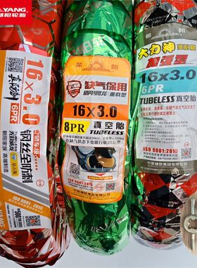 钢阳轮胎16X3.0电动车真龙胎76-305真空盾甲腾空缺气保护朝丝防刺