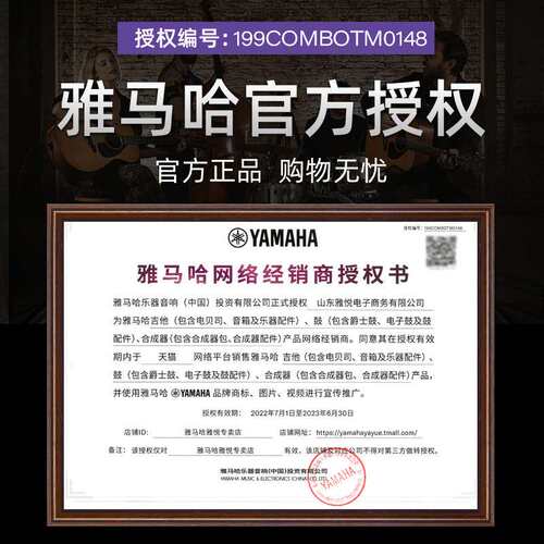 电吉他PAC012/PAC112/PAC212初学者入门练习进口单摇