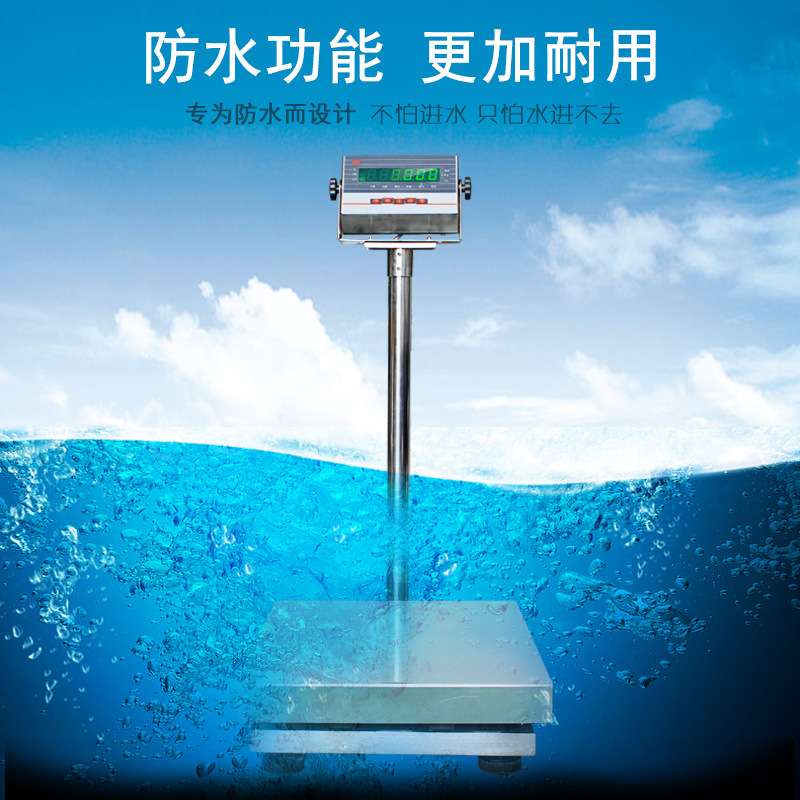 飞亚304全不锈钢防水防潮电子称FWT海鲜水产秤电子磅台秤10-300kg