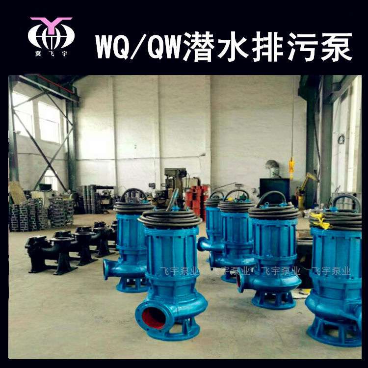 200WQ400-10-22KW潜水电泵排污泵 QW无堵塞污水污物潜污泵提升泵