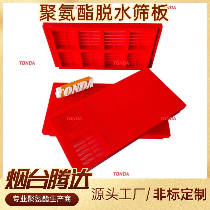 聚氨酯脱水筛板矿用PIPO305*610模块组合式高效耐磨聚氨酯筛网