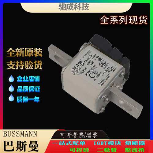 巴斯曼170M3648 170M3650 170M3655 大量现货价格优惠 原装熔断器