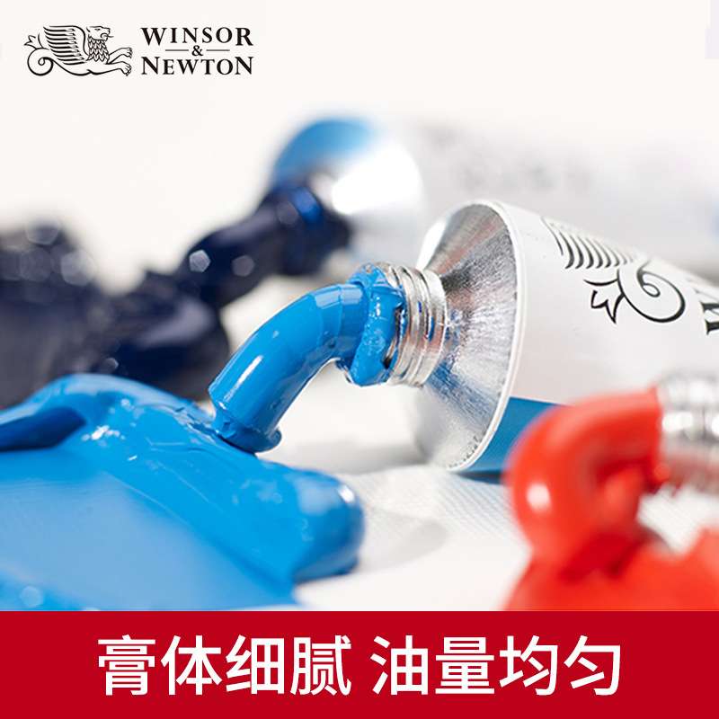 温莎牛顿 美术画家专用油画颜料套装 24色油画绘画颜料12ML铝管装