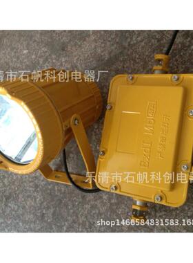 BTC8200防爆投光灯 西塔照明