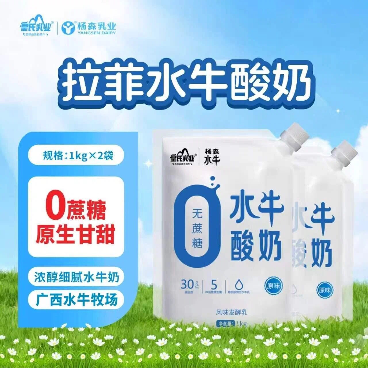 皇氏杨森水牛酸奶无蔗糖益生菌儿童学生营养早餐奶袋装低温0蔗糖