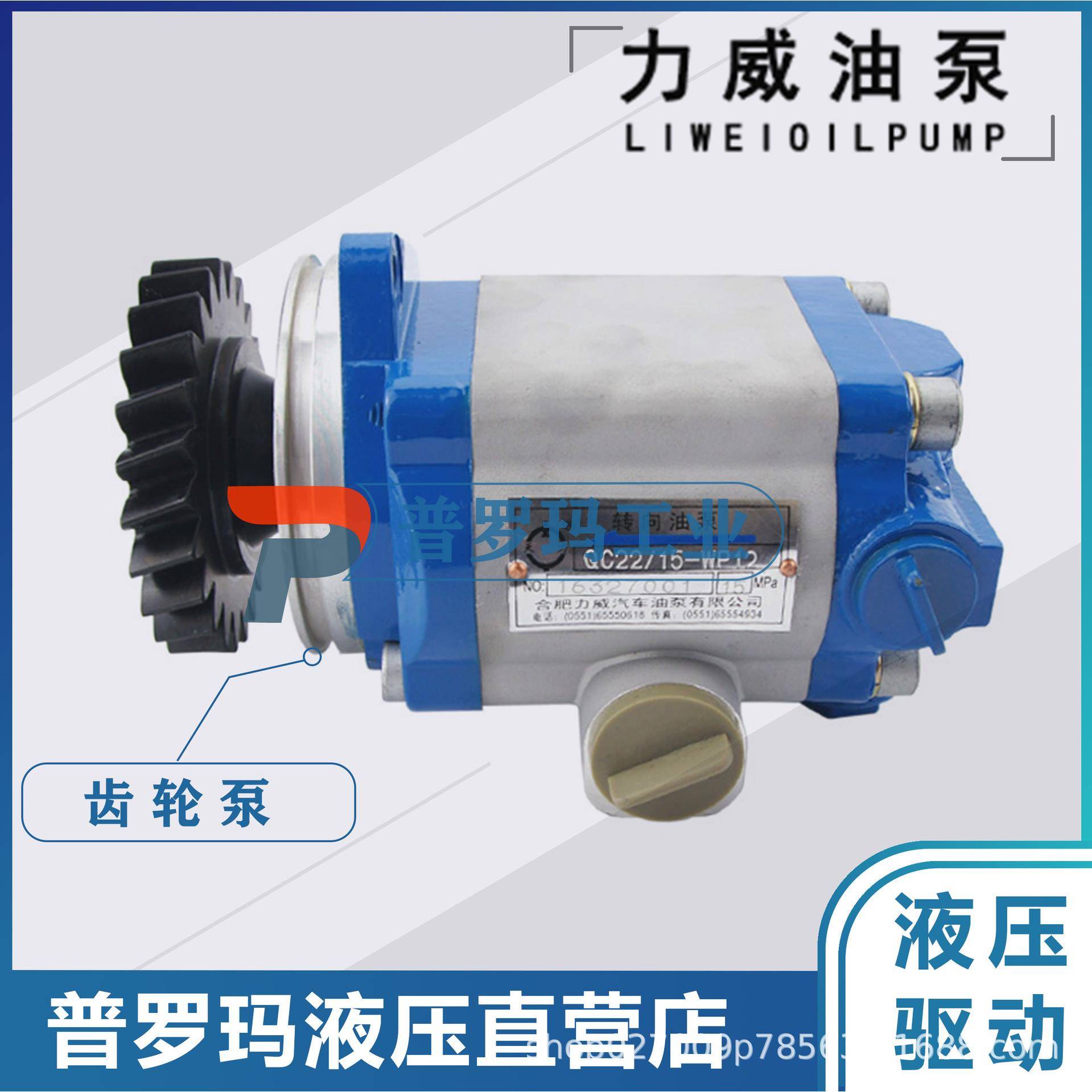 合肥力威 QC10/20-WP6 汽车油泵转向泵 合肥天力威方向动力泵