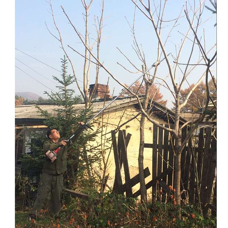 便携式汽油高枝剪 小型树枝绿篱修剪机 园林绿化果树背负高枝锯