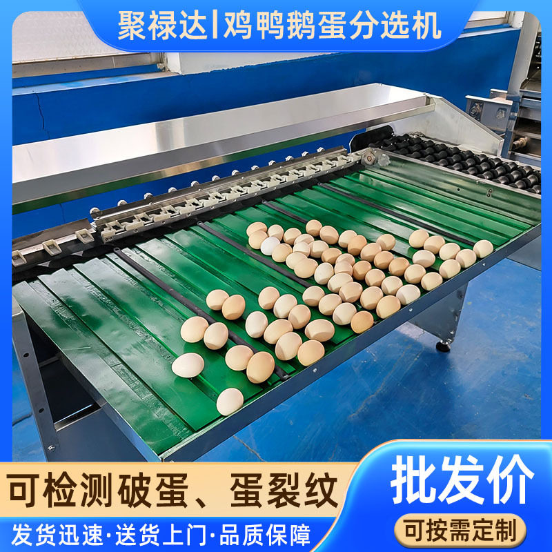 全自动商用禽蛋分级分选机