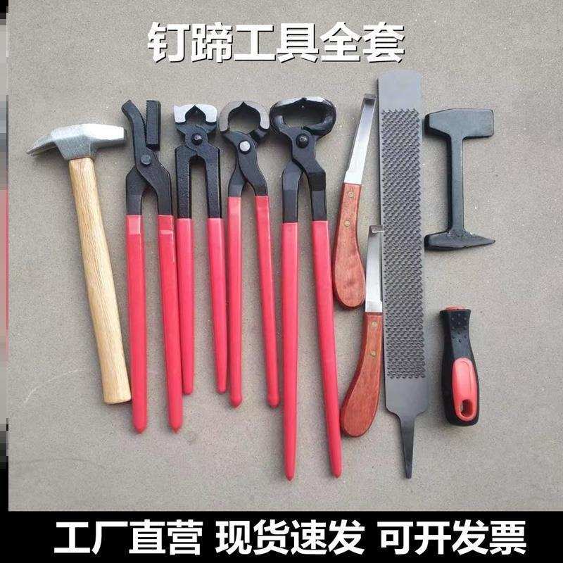 修蹄工具 剪蹄钳压钉钳马蹄钳拔钉钳马术用品 钉掌全套工具截钉刀