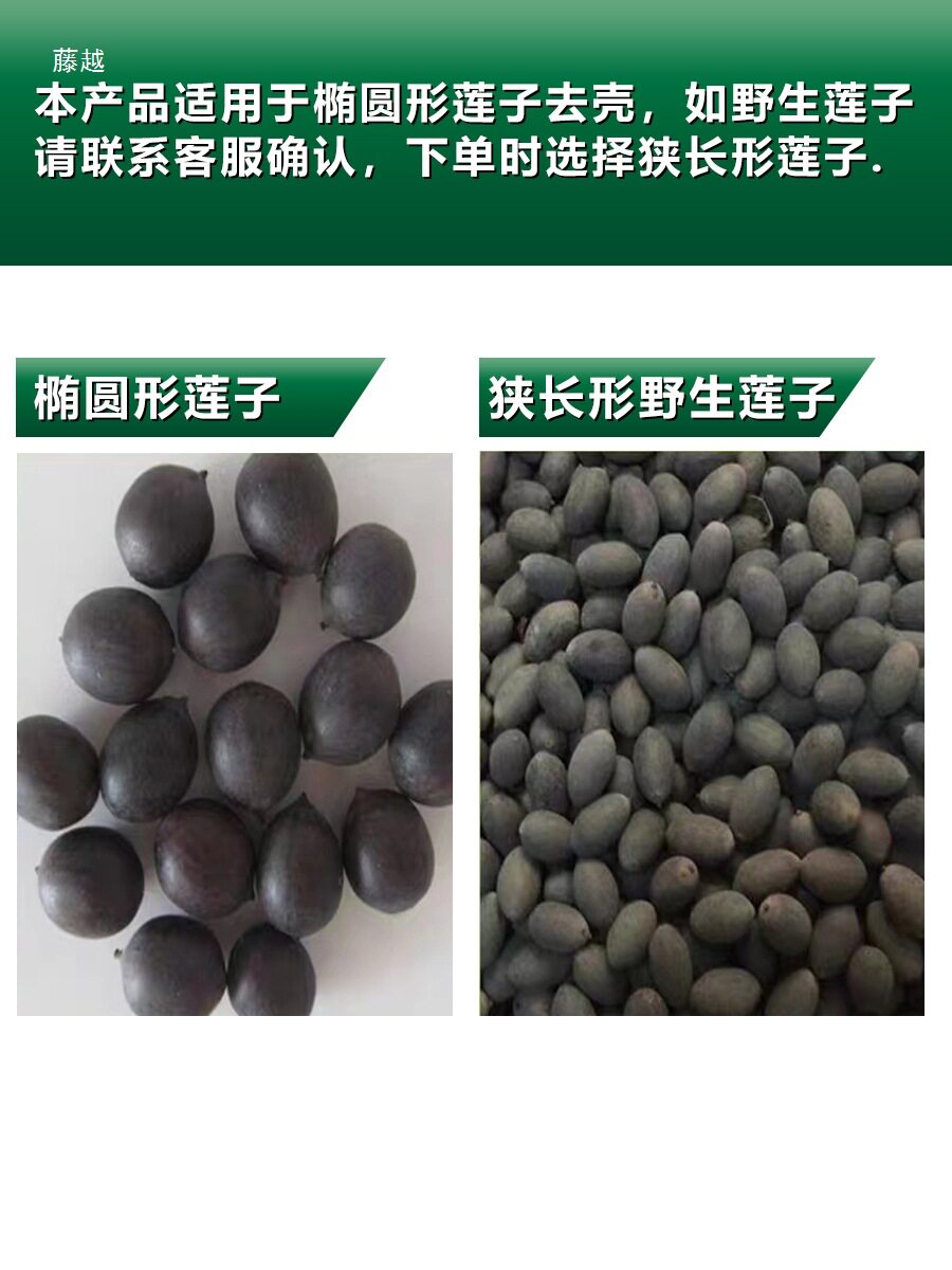 老莲子去壳机老莲子剥壳机电动老莲子去壳机莲子加工铁莲子去壳机