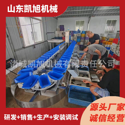 智能多功能水果重量分选机