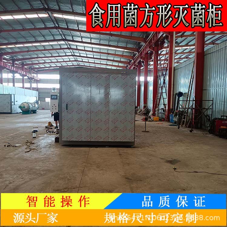 菌种方形灭菌柜规格齐全