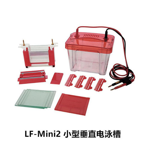 龙方星钰LF-Mini2小型垂直电泳槽  LF-ZY03小型转印电泳槽