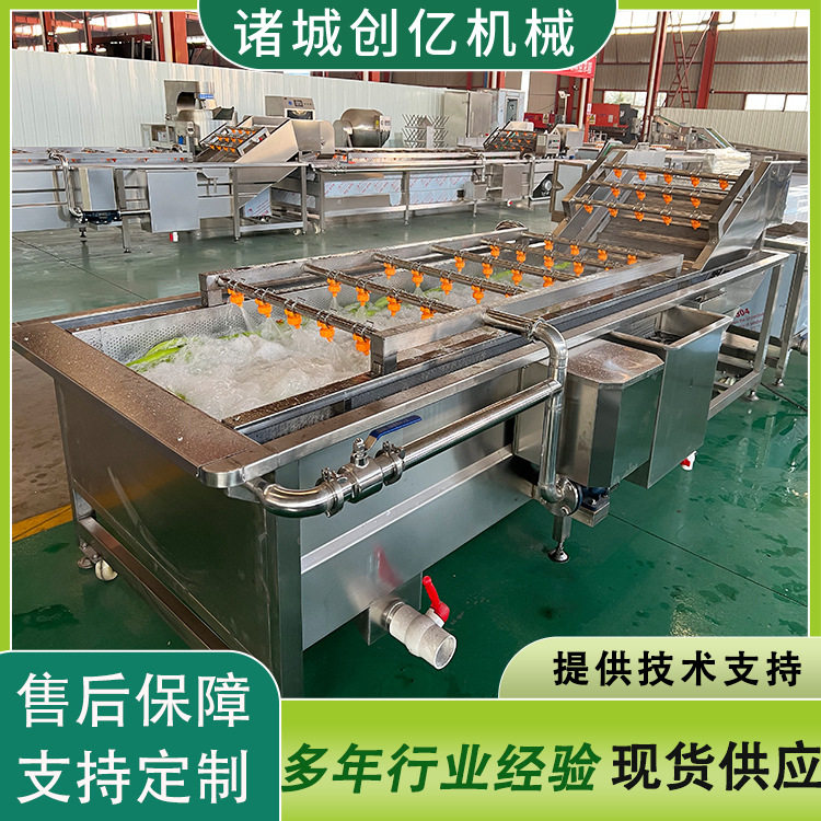 网带式果蔬气泡喷淋清洗机