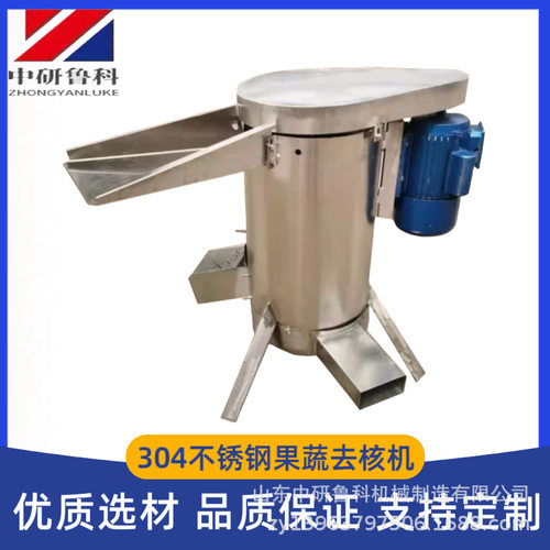 水果脱核大型设备不锈钢核果脱核机龙眼梅子樱桃工业用去核机