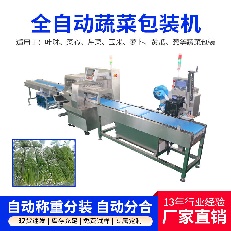长发全自动蔬菜枕式保鲜包装机
