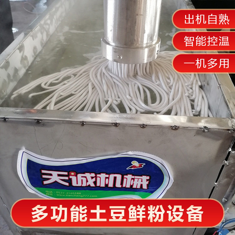 天诚牌商用不锈钢土豆鲜粉设备 出机自熟宽粉肥羊粉机