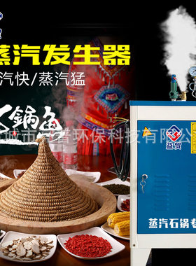 益贸36KW电加热蒸汽发生器出汽快