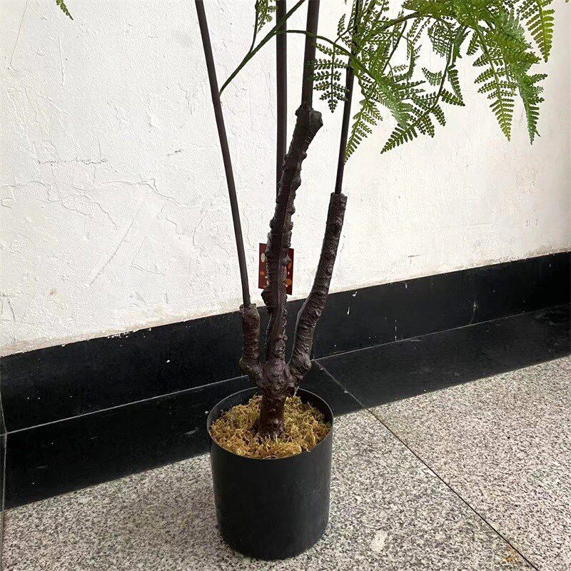 工厂店仿真蕨类植物盆栽摆件马C尾蕨手感蕨羊齿蕨树家居装饰