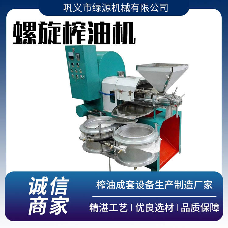 油厂油坊商用大型花生菜籽椰子榨油机 全自动多功能螺旋炸油机