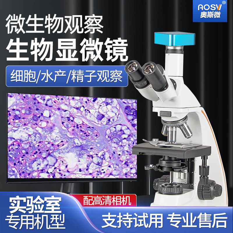 奥斯微(AOSVI)科研级专业细菌细胞观察生物显微镜L208-21TZ