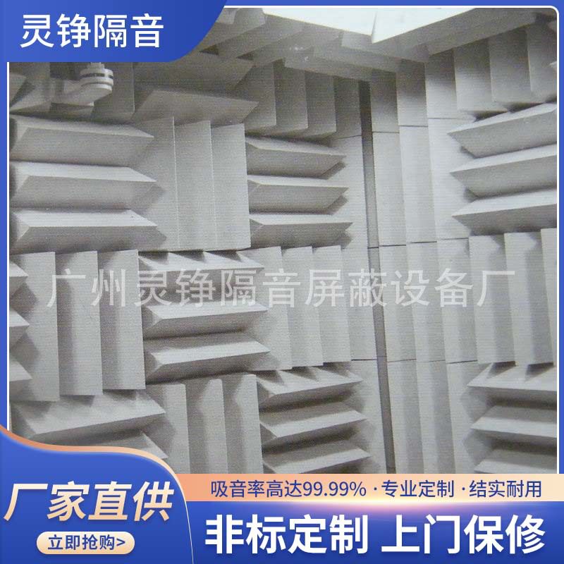 源头厂家产品实验测试无响室设计建造尖劈消声室供应半消声室批发