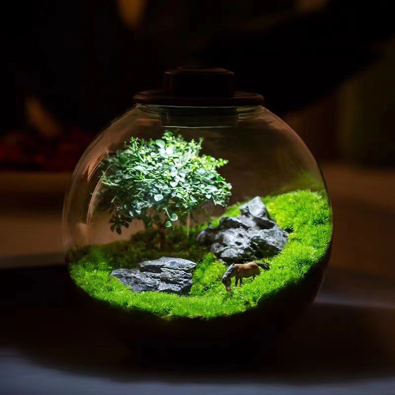 微景观中式创意假山流水r陶罐造景植物家居室内客厅办公室桌面摆