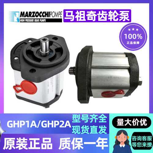 GHP2A-D-6/9/10/12/13/16/20/22/25/30/34/37/40/50-FG马祖奇油泵