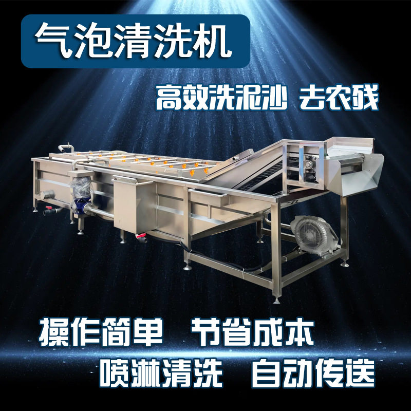 果蔬自动鼓泡漂洗冷却线除毛发