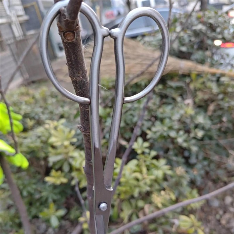 防夹手不绣钢叶芽剪高端牙剪随L手剪兰花剪盆景专用
