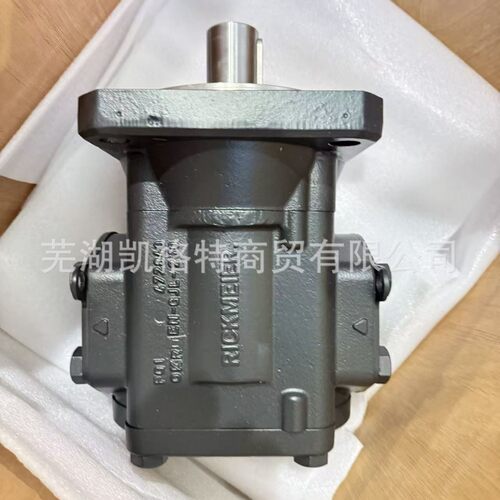 瑞克梅尔齿轮泵R45/80 FL-Z-R-S0