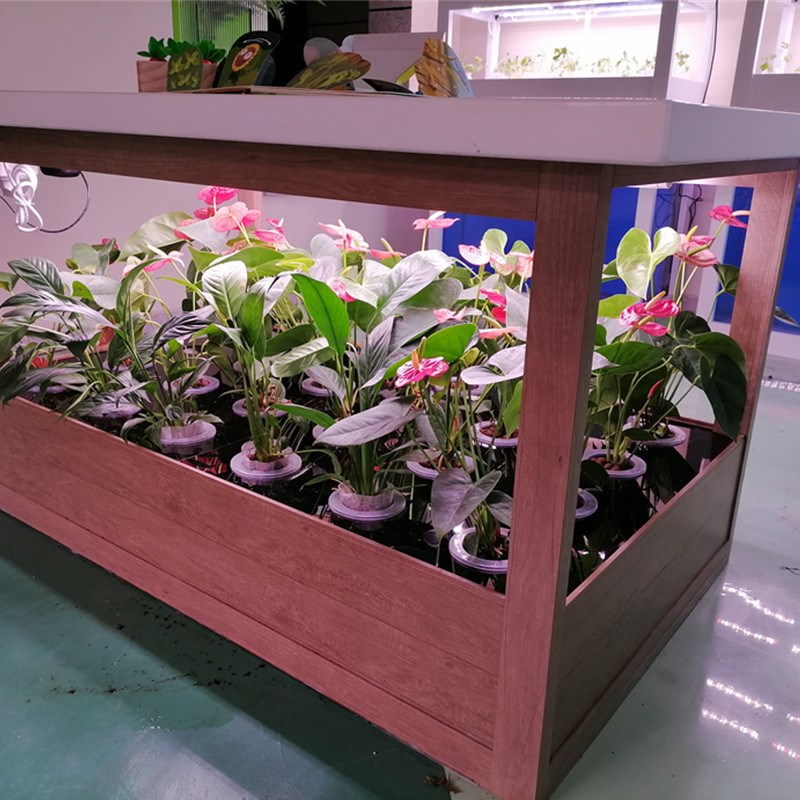 无土栽培植物种植箱现代智能客厅轻奢家用生态田园U大理石茶几餐