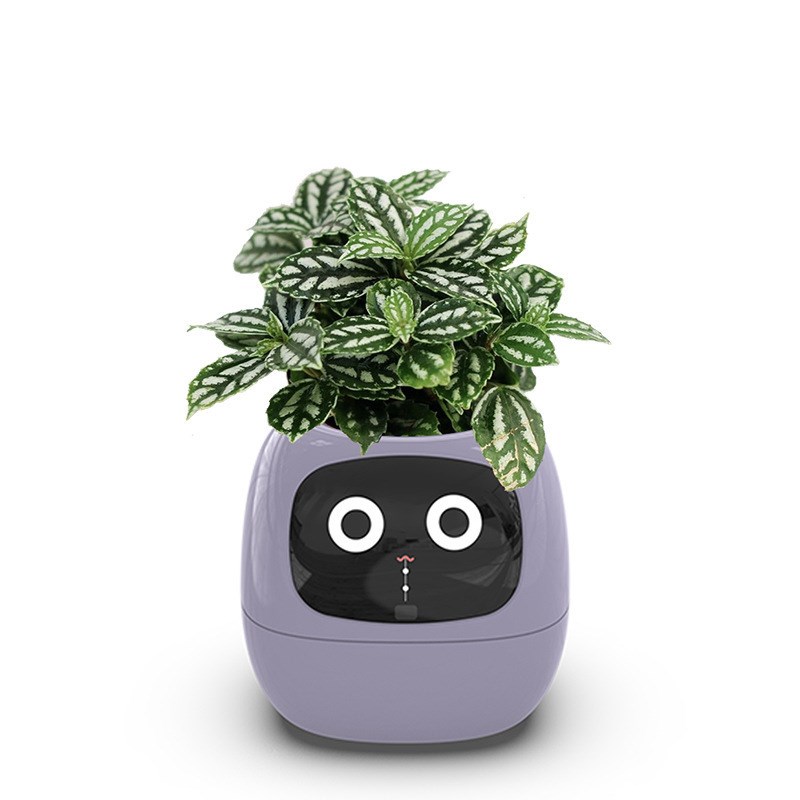 新品智能懒人自j动吸水花盆塑料树脂圆形USB充电式室内植物花