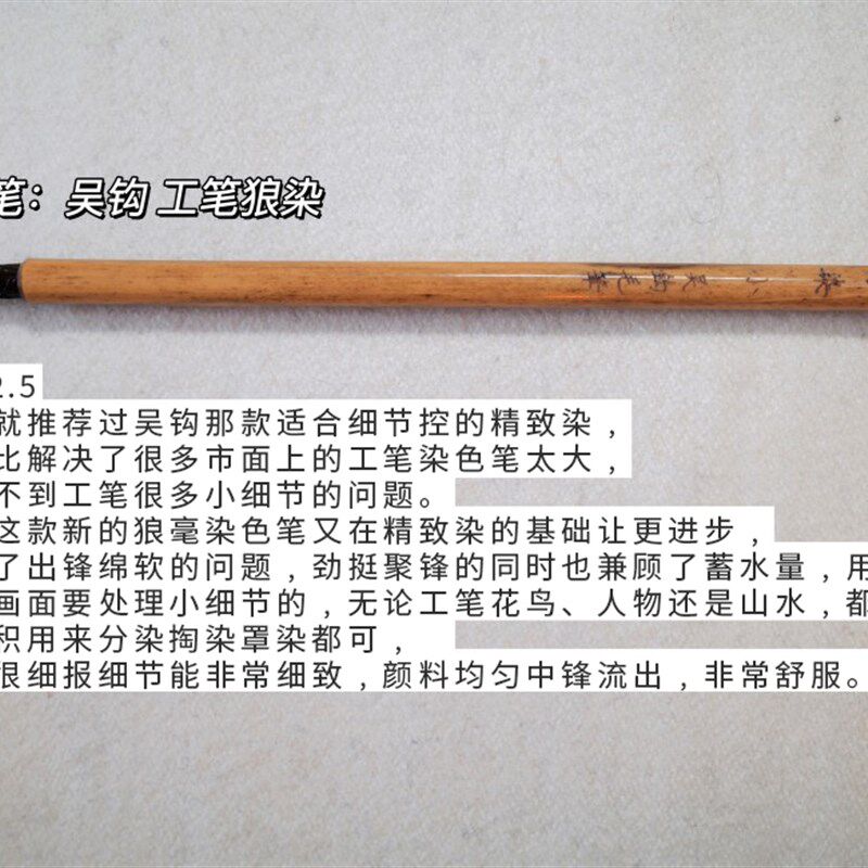忆伊老师推荐套笔工鸟用笔公式毛笔花装